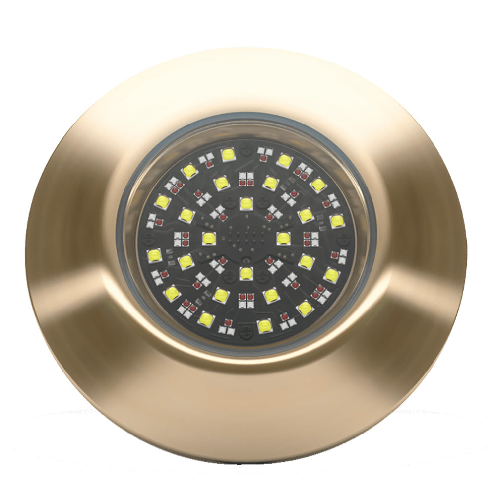 Lumishore EOS THX804 ThruHull Light Driver 0100452000