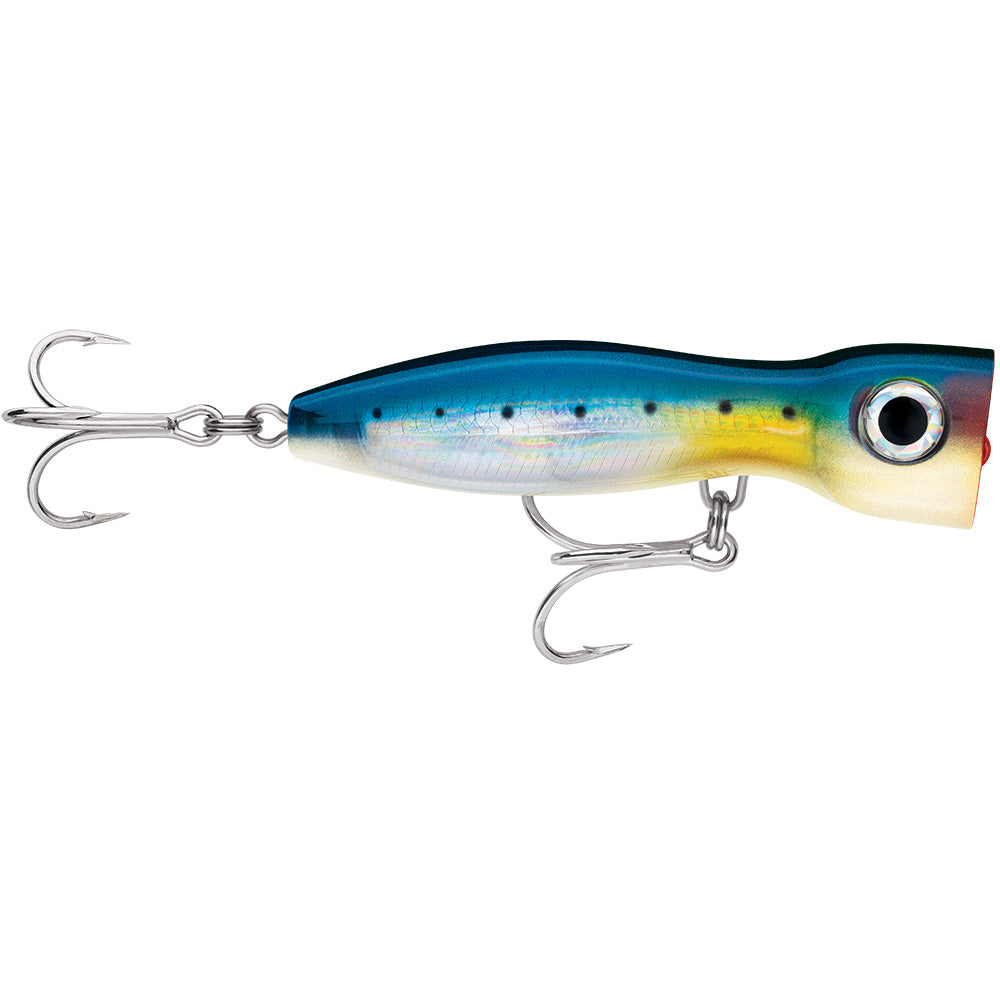 Rapala XRap Magnum Xplode 170 Blue Sardine XRMAGXP170BSRD