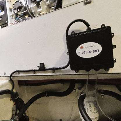 BILGEBDRY Dual Pump 12VDC BBD2025122