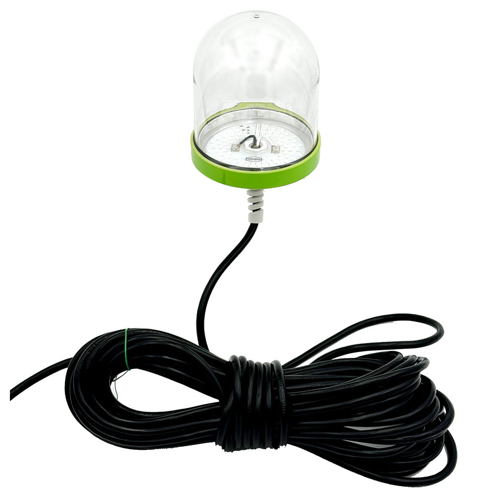 Hydro Glow SF100G 100W120VVAC Underwater Dock Light  Green Anchored To Bottom SF100G